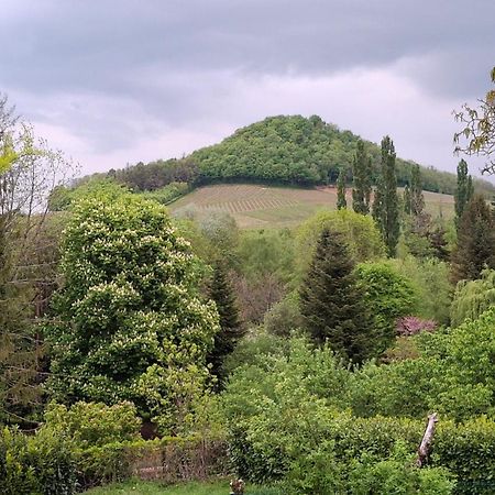 Studio Dans Belle Maison Ancienne Et Jardin Ferme L'Etoile  ภายนอก รูปภาพ