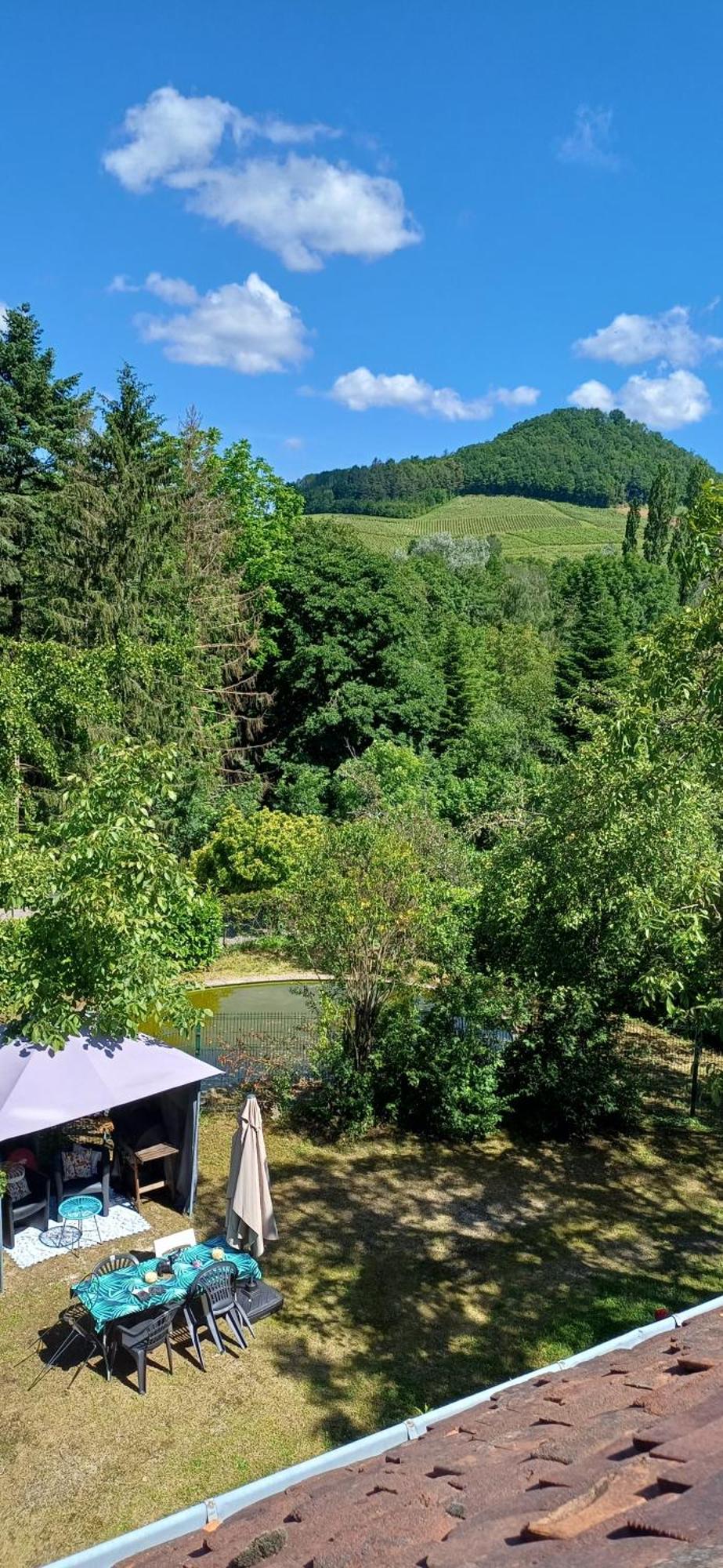 Studio Dans Belle Maison Ancienne Et Jardin Ferme L'Etoile  ภายนอก รูปภาพ